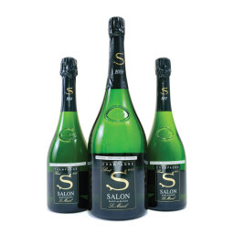 Salon Blanc de Blancs Le Mesnil Assortment Case
