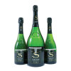 Salon Blanc de Blancs Le Mesnil Assortment Case