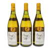 Puligny Montrachet Les Pucelles Domaine Leflaive 1992 - 9