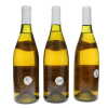 Puligny Montrachet Enseigneres Coche-Dury 1996 - 3