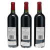 Petrus 2008 - 3