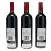 Petrus 2008 - 6